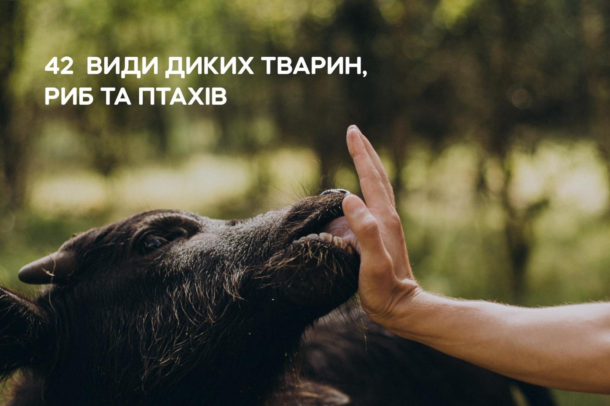 Dereville Sokolovka Екстериор снимка